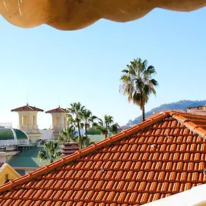 Linusa , Sanremo Italia
